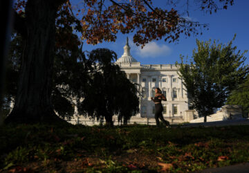 Fall Foliage Washington