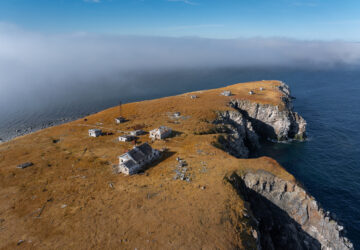 Russia Polar Bears Photo Gallery