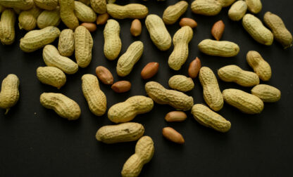 Peanut Allergy