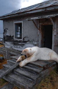 Pictures of the Week Global Photo Gallery