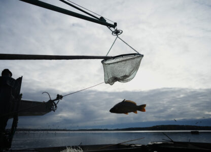 Pictures of the Week Global Photo Gallery