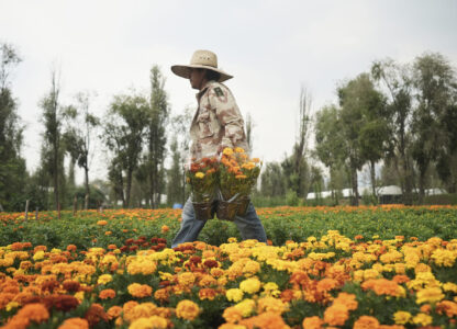 Pictures of the Week Global Photo Gallery