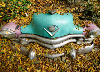 Pictures of the Week Global Photo Gallery