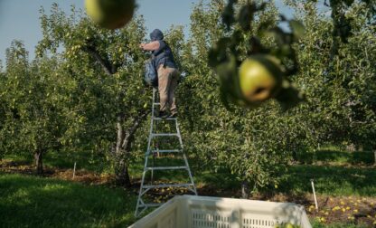 Climate Heat Farmworkers Pregnancy