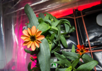 Space Station-25th Anniversary