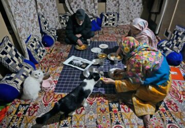 Climate Choices Sustainable Pets