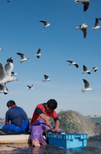 Pictures of the Week Global Photo Gallery