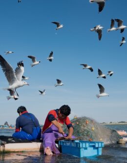 Pictures of the Week Global Photo Gallery