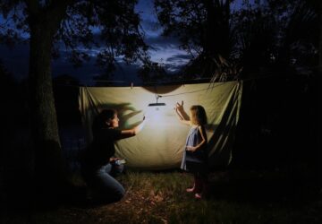 Pictures of the Week Global Photo Gallery