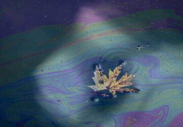 Pictures of the Week Global Photo Gallery