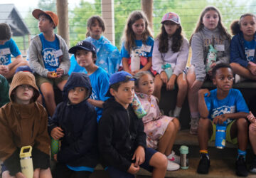 Zoos-Viewing Veterinarians