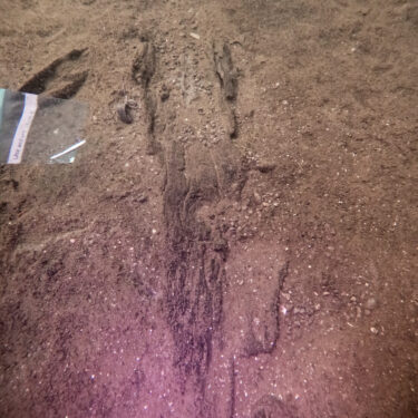 Ancient Canoes Parking Lot