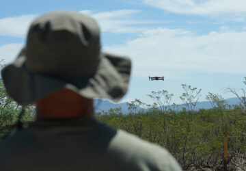 Digital Cage Border Patrol