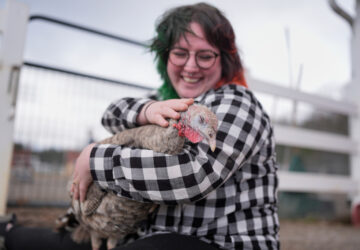 Turkey Cuddle Therapy