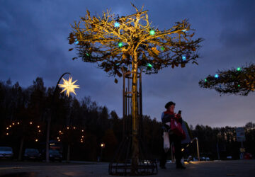 Germany Christmas Stars