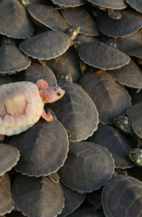 Pictures of the Week Global Photo Gallery