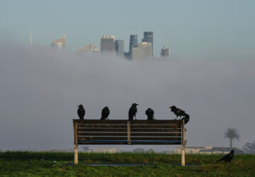 YE Global Best of 2025 Photo Gallery