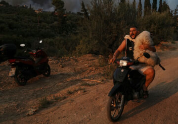 YE Global Best of 2025 Photo Gallery