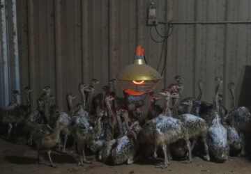 YE Global Best of 2025 Photo Gallery