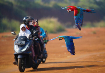 YE Global Best of 2025 Photo Gallery