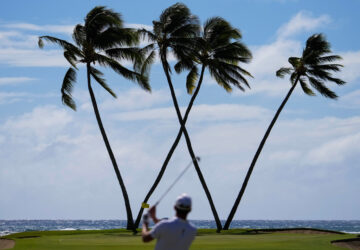 YE Sports Photo Gallery