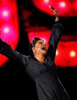 YE Entertainment 2025 Photo Gallery