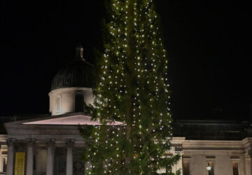 Britain Norway Christmas Tree