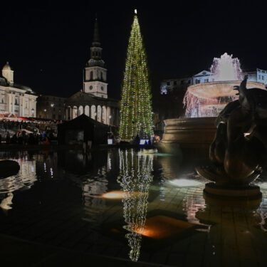 Britain Norway Christmas Tree