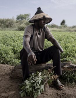 Pictures of the Week Global Photo Gallery