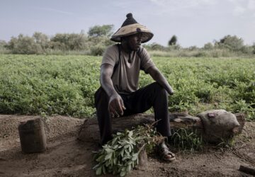 Pictures of the Week Global Photo Gallery