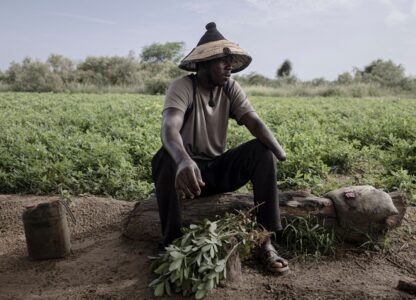 Pictures of the Week Global Photo Gallery