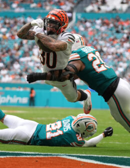 Pictures of the Week Global Photo Gallery