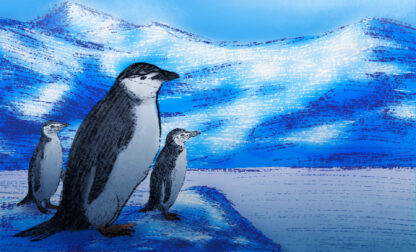 SCI–Extreme Animal Sleep