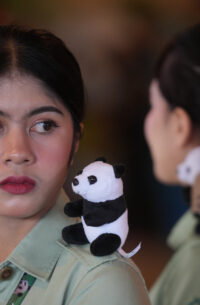 Indonesia Giant Panda