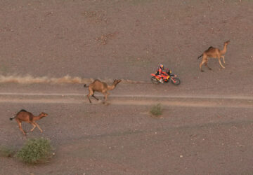 Pictures of the Week Global Photo Gallery
