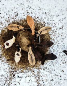 Pictures of the Week Global Photo Gallery