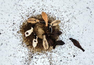 Pictures of the Week Global Photo Gallery