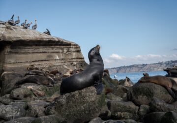 Climate Solution Desalination