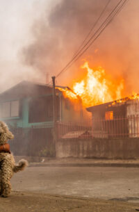 Pictures of the Week Global Photo Gallery