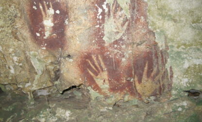 Oldest Cave Art