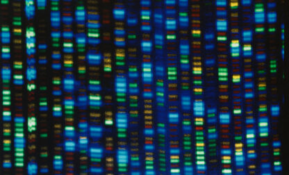 Be Well-Cholesterol-Gene Editing