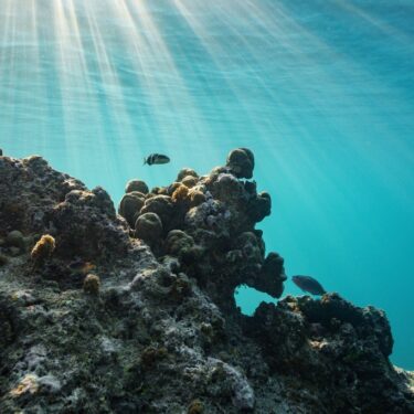 Climate High Seas Treaty What to Know