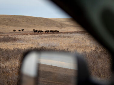 Government Shutdown Tribal Food Aid