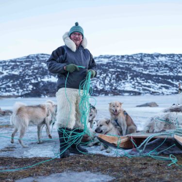 Climate Greenland Sled Dogs