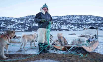 Climate Greenland Sled Dogs