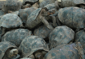 Pictures of the Week Global Photo Gallery