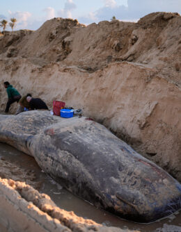 Pictures of the Week Global Photo Gallery