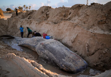 Pictures of the Week Global Photo Gallery