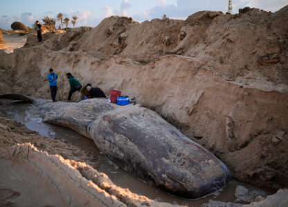 Pictures of the Week Global Photo Gallery