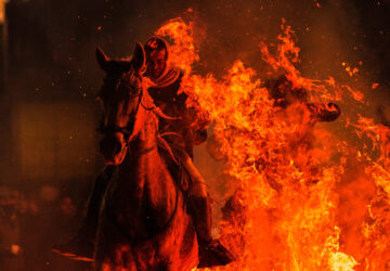 Photo Highlights of January